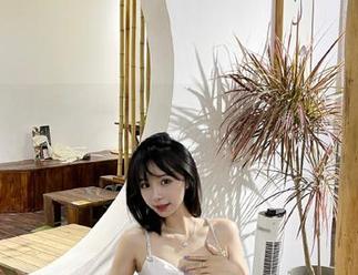 51cgfun竞猜导航，谁摇了你的瓜树？快来投票！