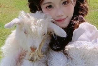 小心！在线看吃瓜网红视频，摸索中意外发现真爱的草率剪辑。