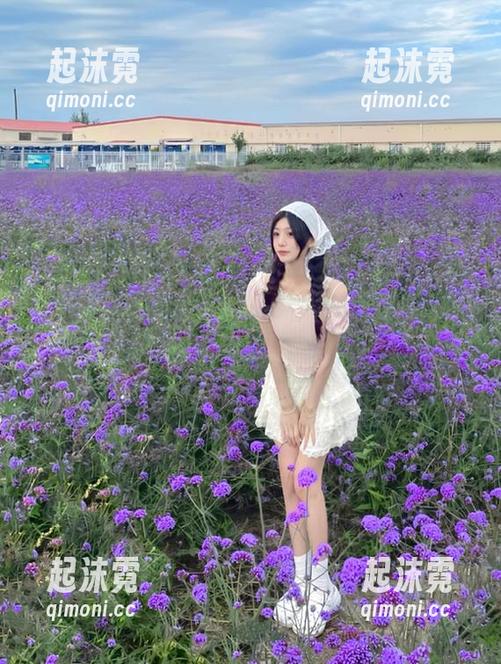 黑料不打烊 网站下载了黑料不打烊,别人更新脑洞,我更新八卦!
