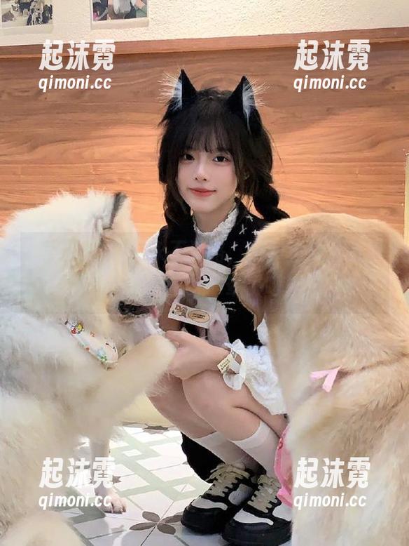 永不迷路，黑料正能量带着我飞，哈哈，晕了吧！