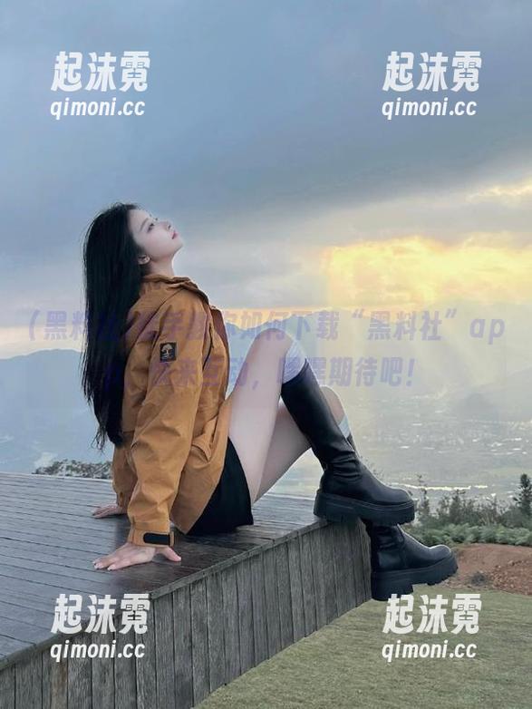 徒手教你如何下载“黑料社”app，快来互动，嘿嘿期待吧！