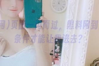 页面一闪而过，黑料网到底得啥条件才能让我进去？