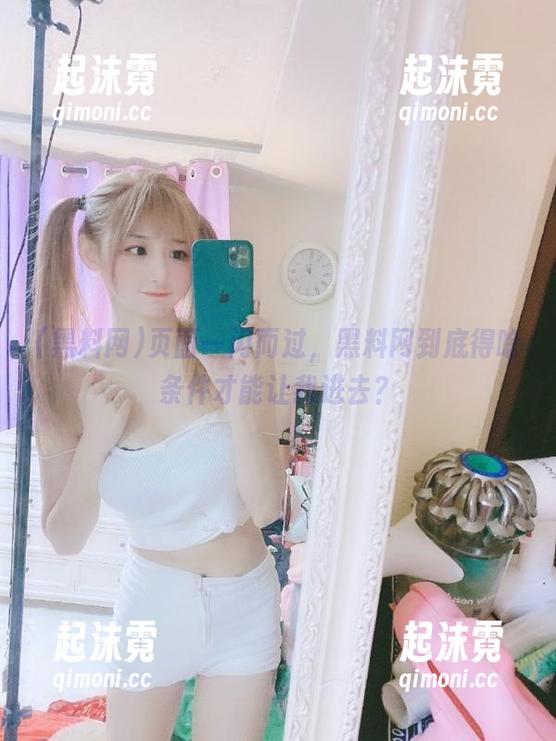 页面一闪而过，黑料网到底得啥条件才能让我进去？