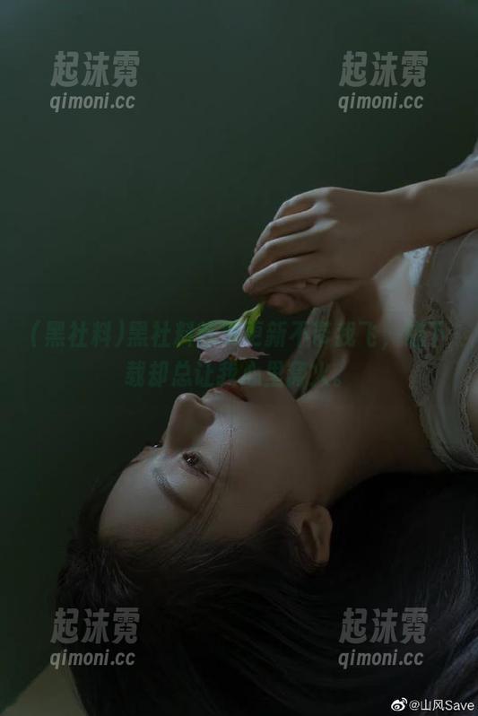 黑社料首页更新不带我飞，想下载却总让我心里窝火。